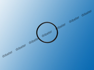 A60973 O-ring