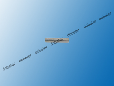 Lscj0008 Dowel Pin