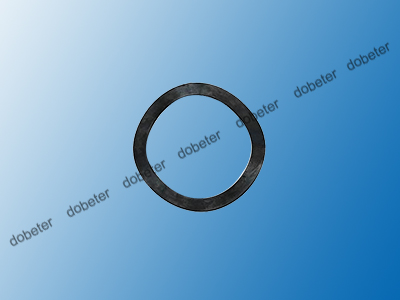 W1007h Washer