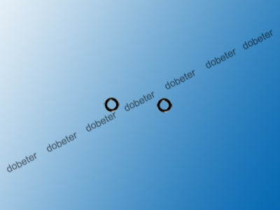 A50529 O-ring